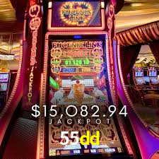 Daily Bonuses 55dd